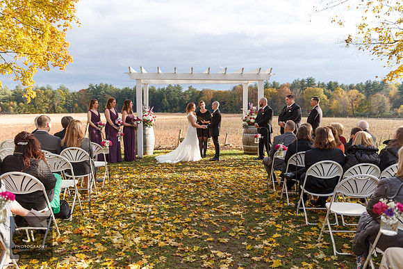 Orlowicz-Proulx-Wedding