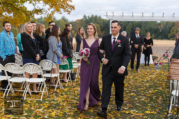 Orlowicz-Proulx-Wedding