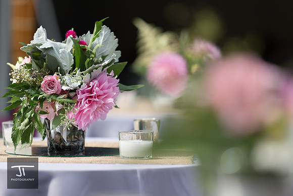 Dube-Whitford-Wedding